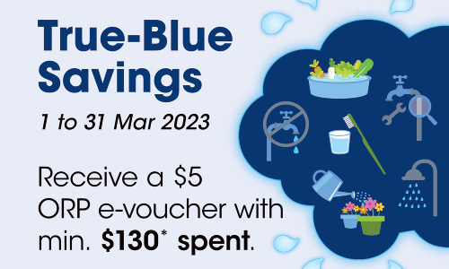 True-Blue Savings